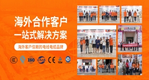 禪誠電纜通過了哪些認證？