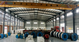 廣東電纜廠家告訴您：發(fā)熱電纜的單導(dǎo)電纜和雙導(dǎo)電纜有哪些區(qū)別？