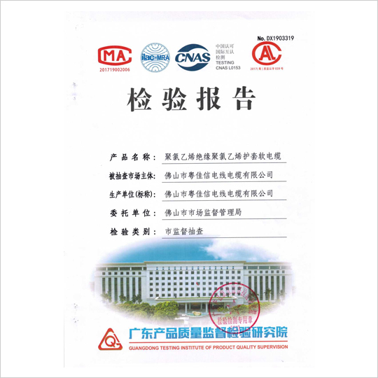 檢驗報告