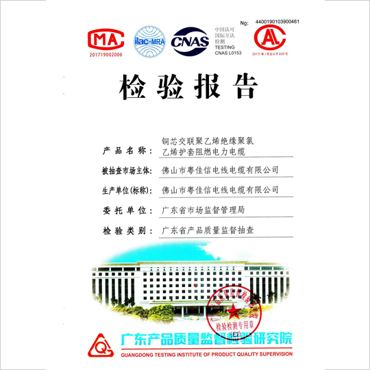 檢驗報告